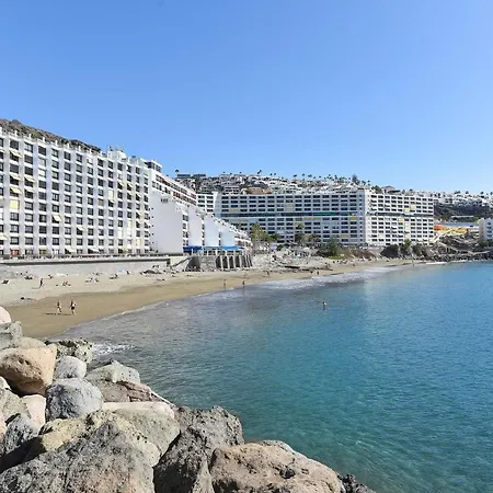 Canarios 629 By Villagrancanaria *