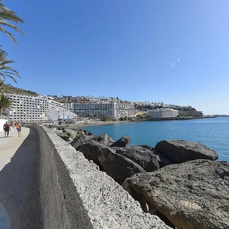 Canarios 629 By Villagrancanaria